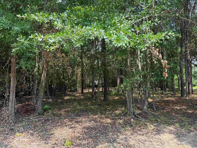 $35,000 | 2-lots - Tbd South Rosemary Avenue, Andrews, SC 29510