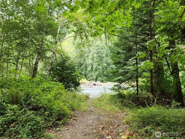 a view of a yard with a trees