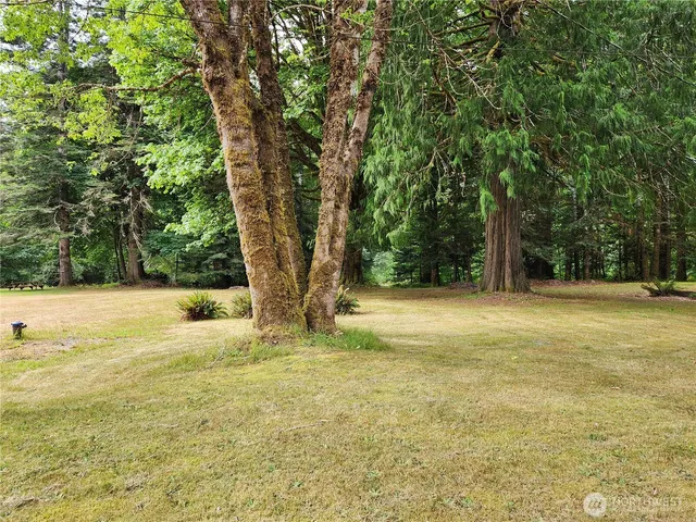 a view of outdoor space yard and deck
