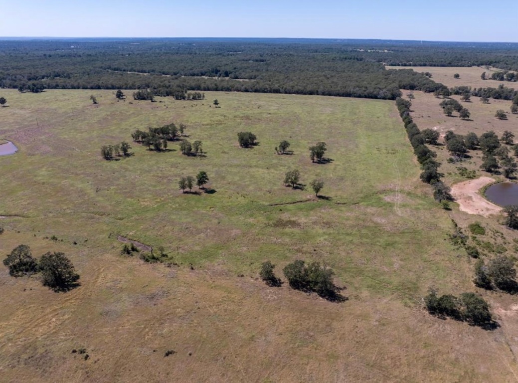 1078 Old Pin Oak Road, Unit TRACT 2 Paige, TX 78659 - Photo 11 of 14 a view of a lake view