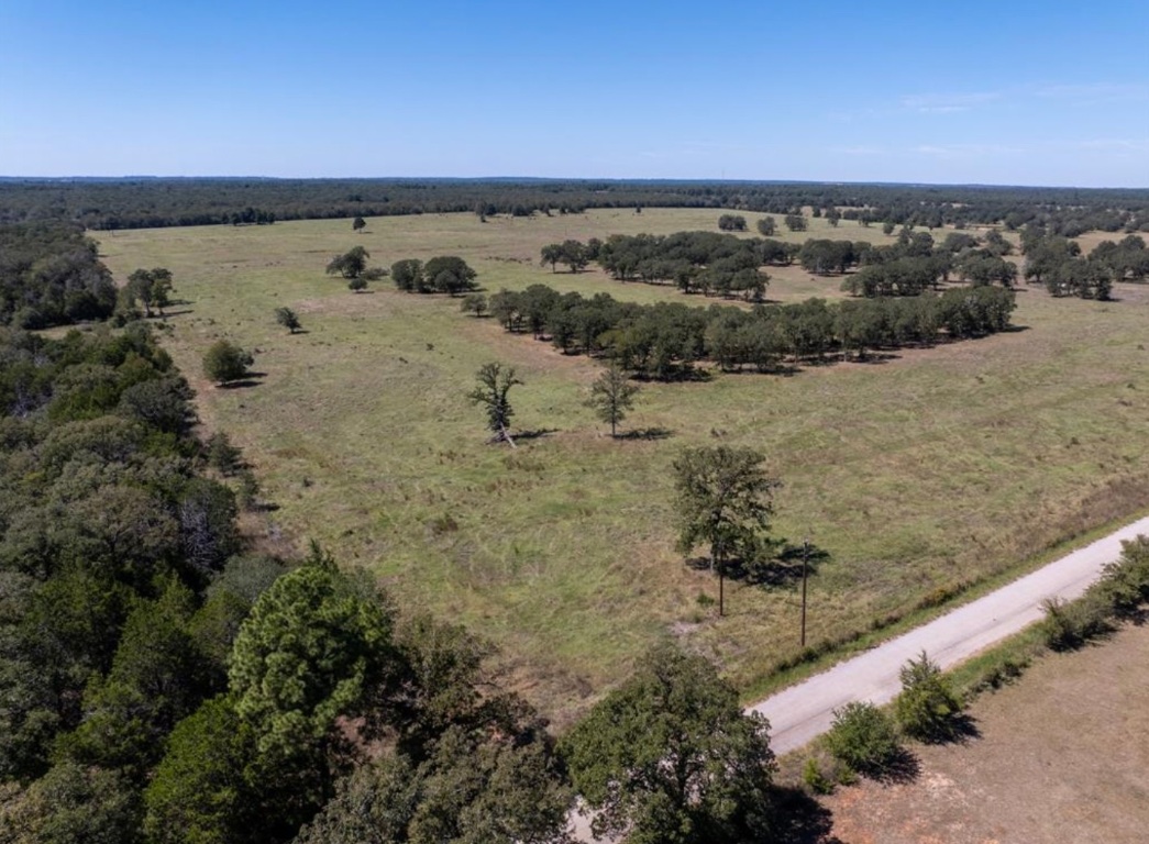 1078 Old Pin Oak Road, Unit TRACT 2 Paige, TX 78659 - Photo 9 of 14 a view of a lake with a mountain in the back