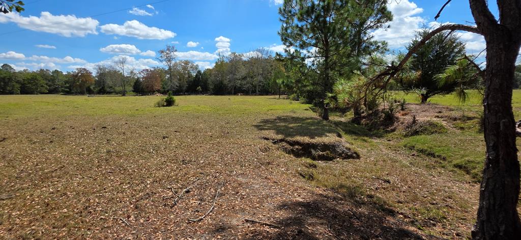 5.8-acres Nobles Road Cottonwood, AL 36320 - Photo 25 of 29