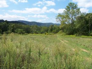 Cemetery Road Alderson, WV 24910 - Photo 1 of 1 Easy access off Cemetery Road
