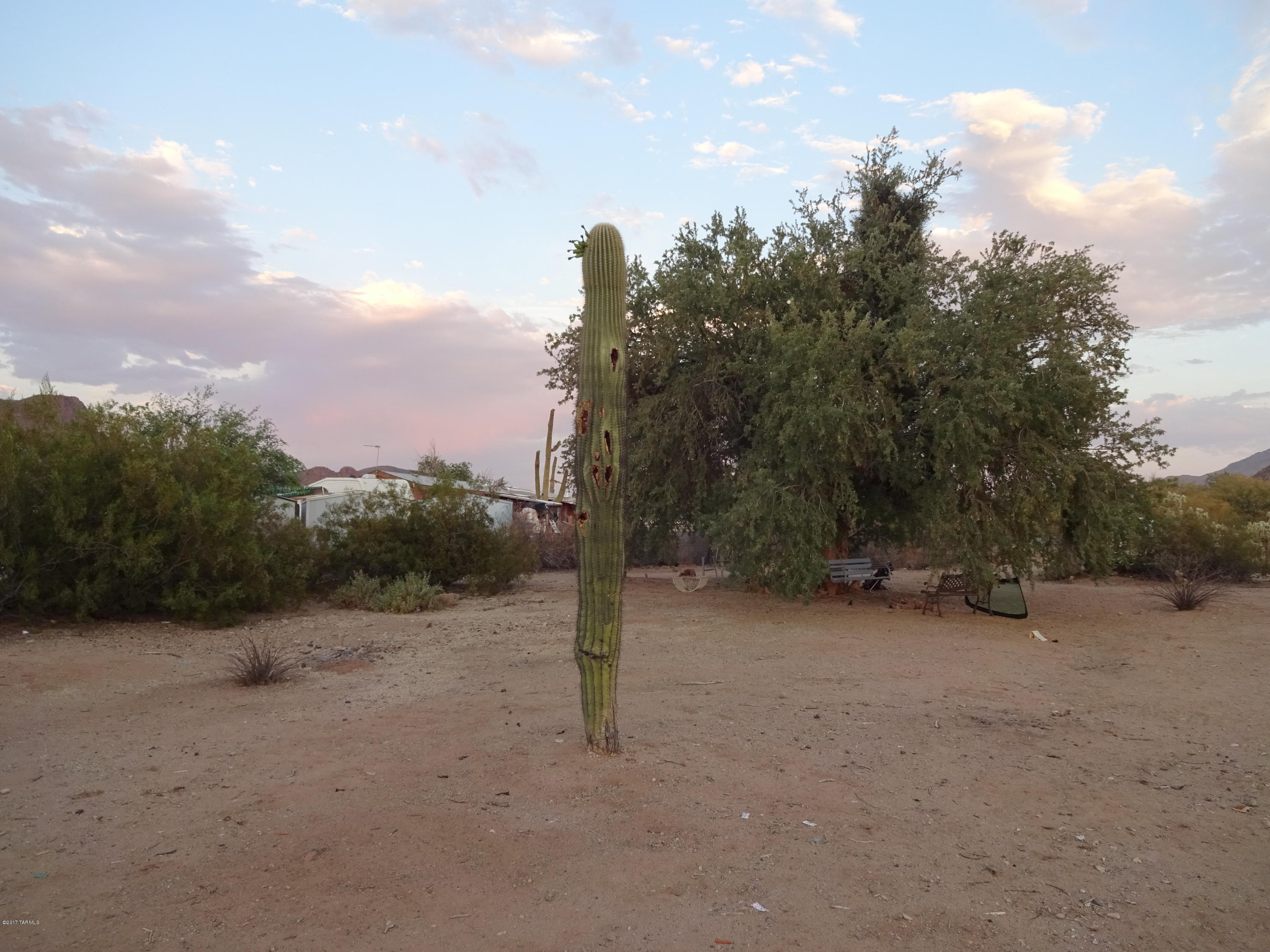 10513 West Mars Road Tucson, AZ 85743 - Photo 16 of 29 Gallery Image 16