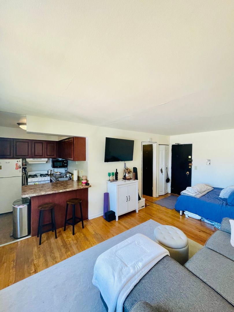 3160 North Cambridge Avenue, Unit 504 Chicago, IL 60657 - Photo 2 of 9 a bedroom with a bed and a flat screen tv