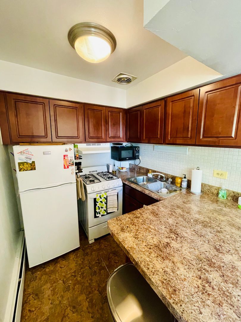 3160 North Cambridge Avenue, Unit 504 Chicago, IL 60657 - Photo 3 of 9 a kitchen with a stove a sink and a refrigerator