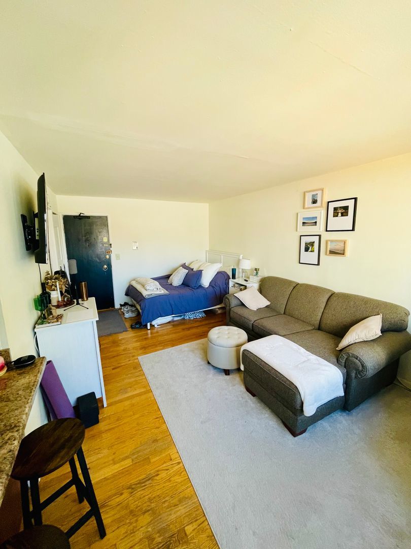 3160 North Cambridge Avenue, Unit 504 Chicago, IL 60657 - Photo 4 of 9 a living room with furniture and a flat screen tv