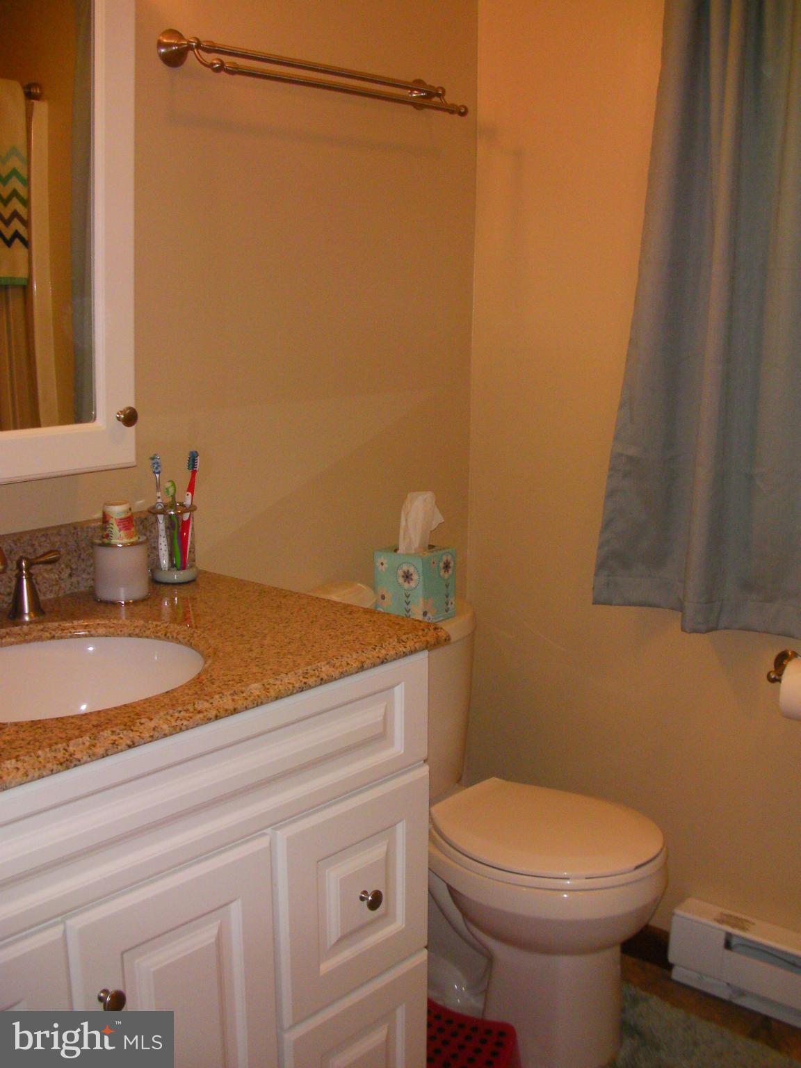 21479 Path Valley Road Dry Run, PA 17220 - Photo 12 of 30 Bath