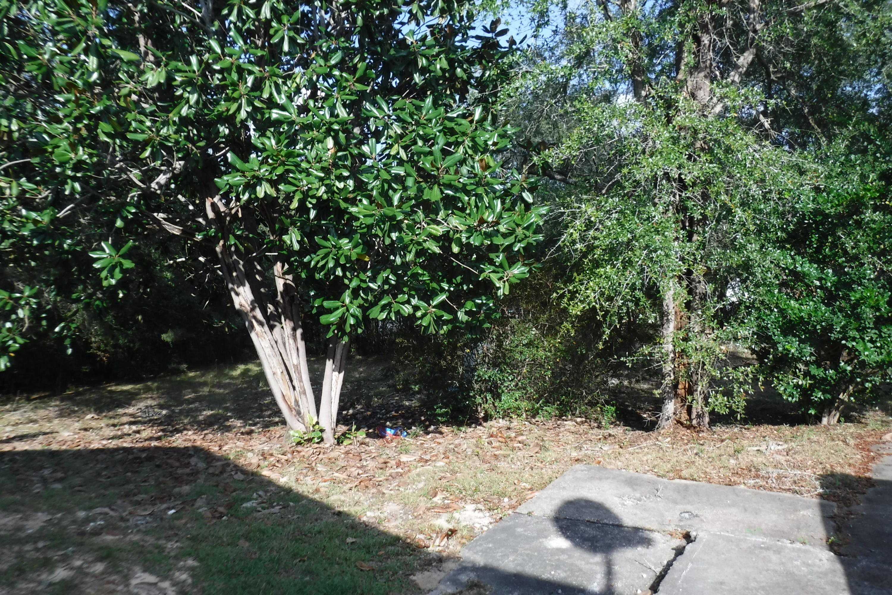 4272 Carlin Road Crestview, FL 32536 - Photo 5 of 16 Gallery Image 5