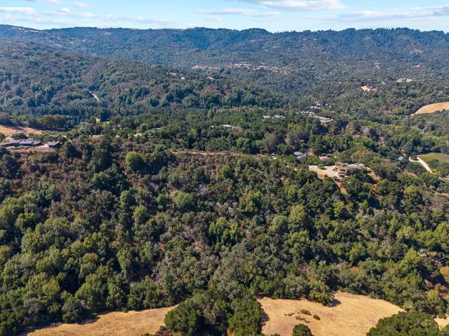 an aerial view of a forest with mountain