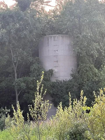 a view of a garden with a fountain