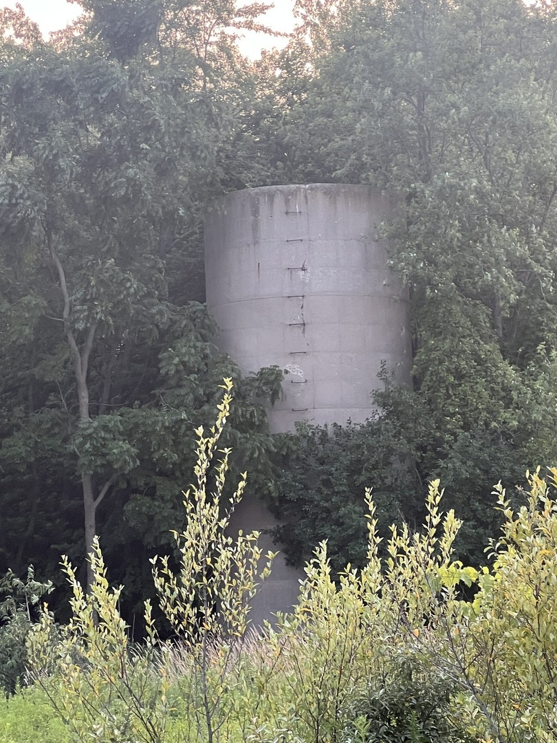 42771 North Delany Road Wadsworth, IL 60099 - Photo 11 of 12 a view of a garden with a fountain