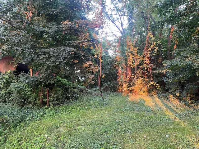 a big yard with lots of green space and house in the back