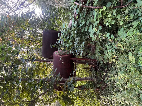 a view of a yard