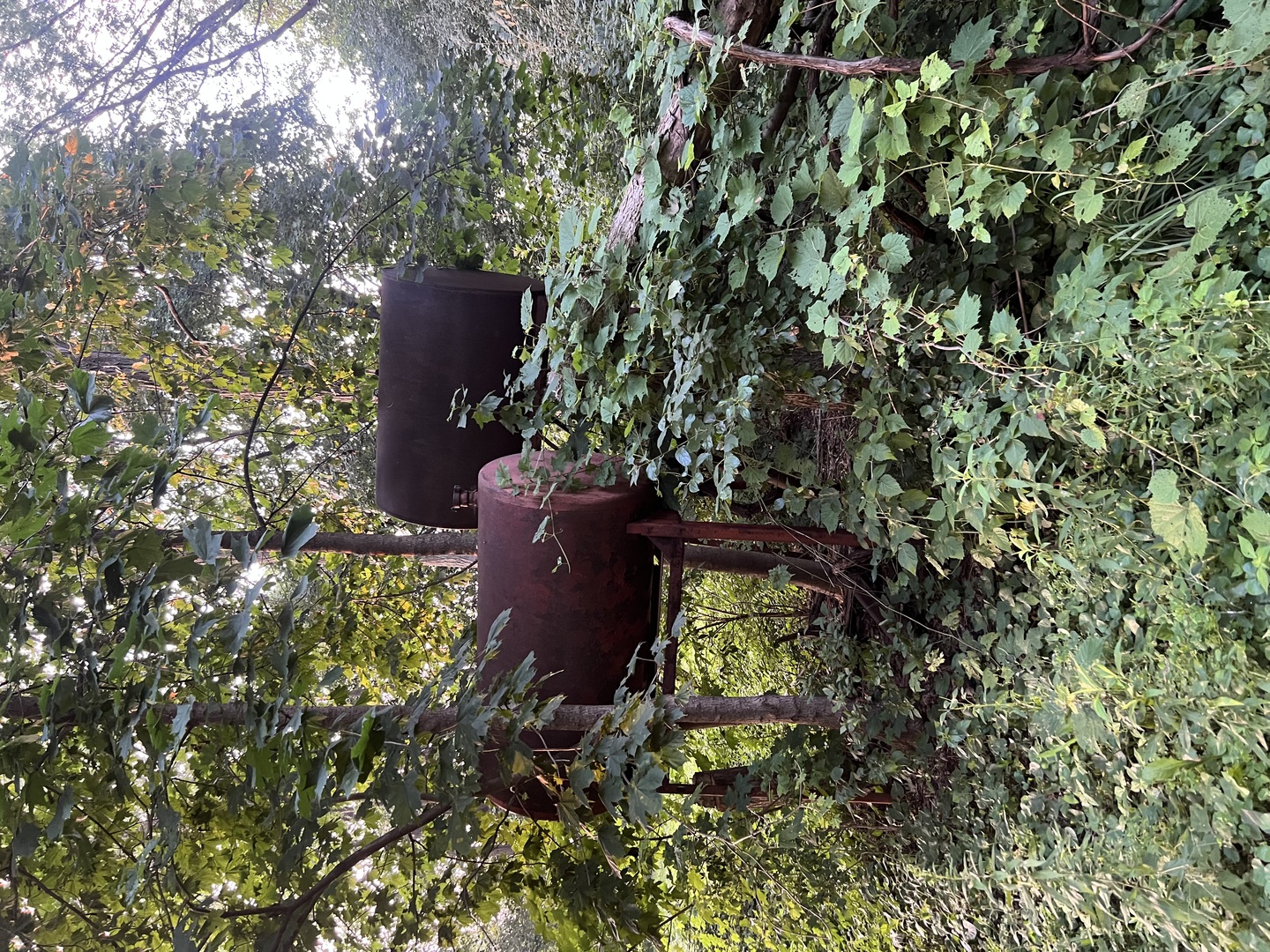 42771 North Delany Road Wadsworth, IL 60099 - Photo 9 of 12 a view of a yard