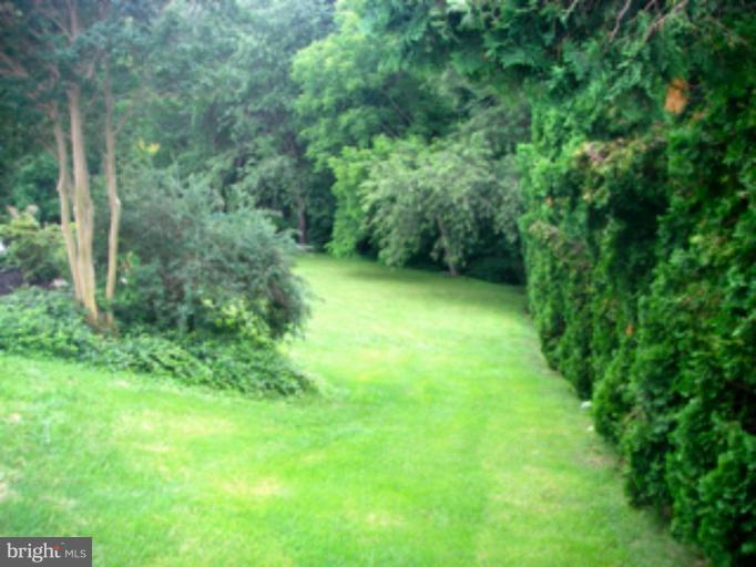 3139 Bayside Road Huntingtown, MD 20639 - Photo 2 of 30 a view of a lush green space