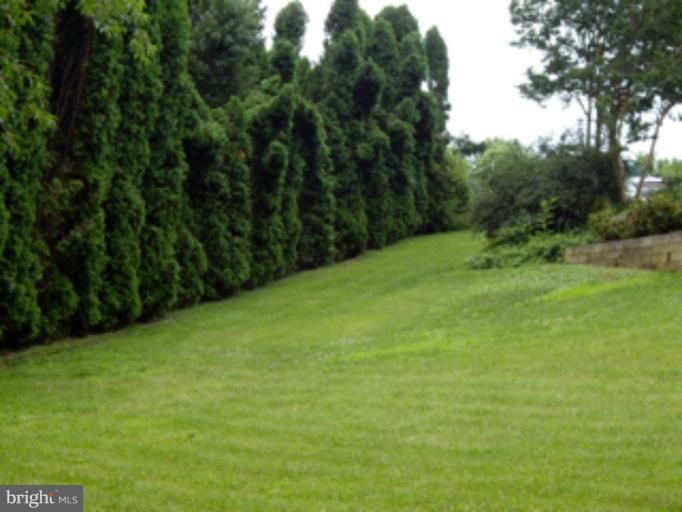 3139 Bayside Road Huntingtown, MD 20639 - Photo 22 of 30 a view of a big yard with green space