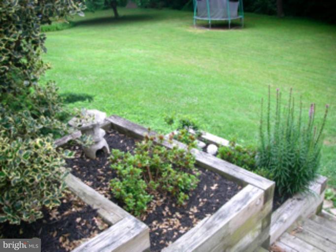 3139 Bayside Road Huntingtown, MD 20639 - Photo 6 of 30 a view of a backyard with plants