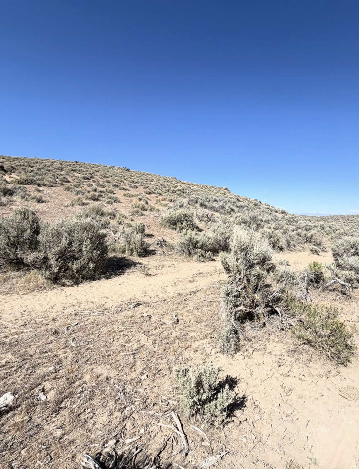 29 Twp 37n Rge 58e Mdb&m Deeth, NV 89823 - Photo 4 of 9