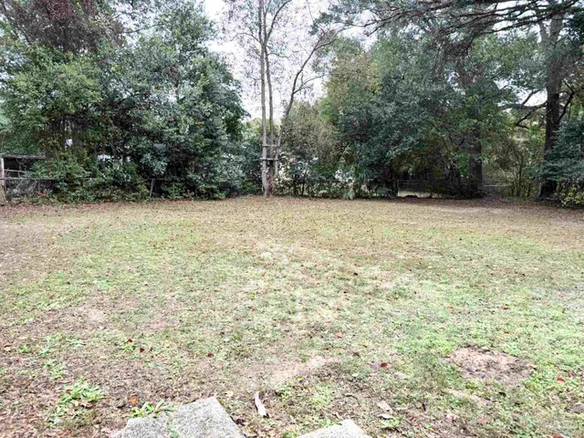 a view of a yard with a trees