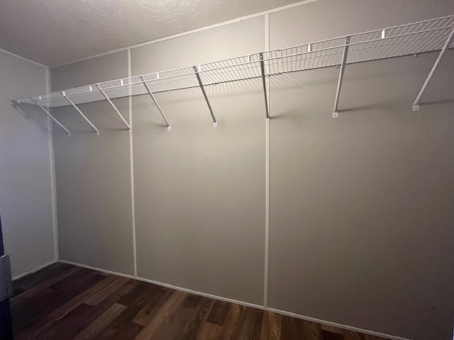 3350 County Road 461 Elgin, TX 78621 - Photo 10 of 17 Spacious walk-in closet