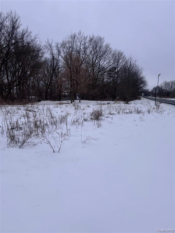 8545 Jackson Road Dexter, MI 48130 - Photo 12 of 19