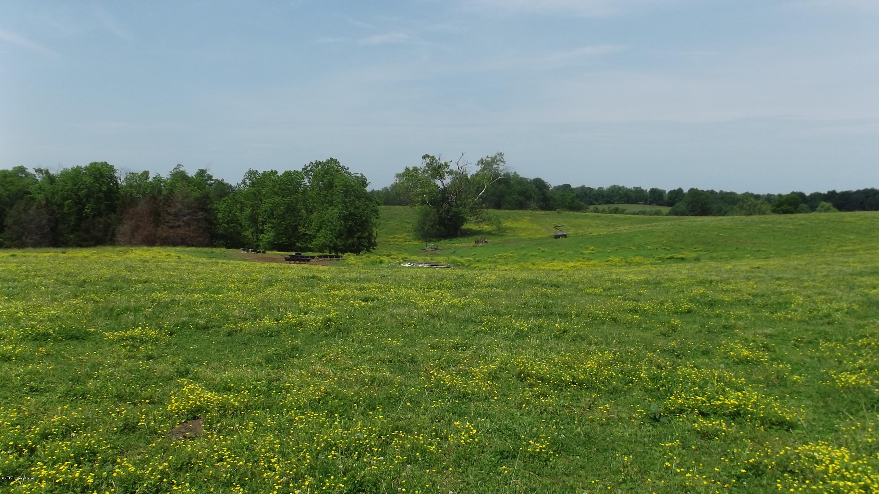 0 Rockbridge Road Shelbyville, KY 40065 - Photo 18 of 21 DSCF6438