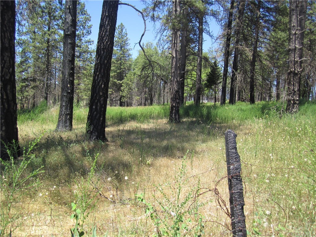 0 Elliott Road Paradise, CA 95969 - Photo 1 of 1 Gallery Image 1