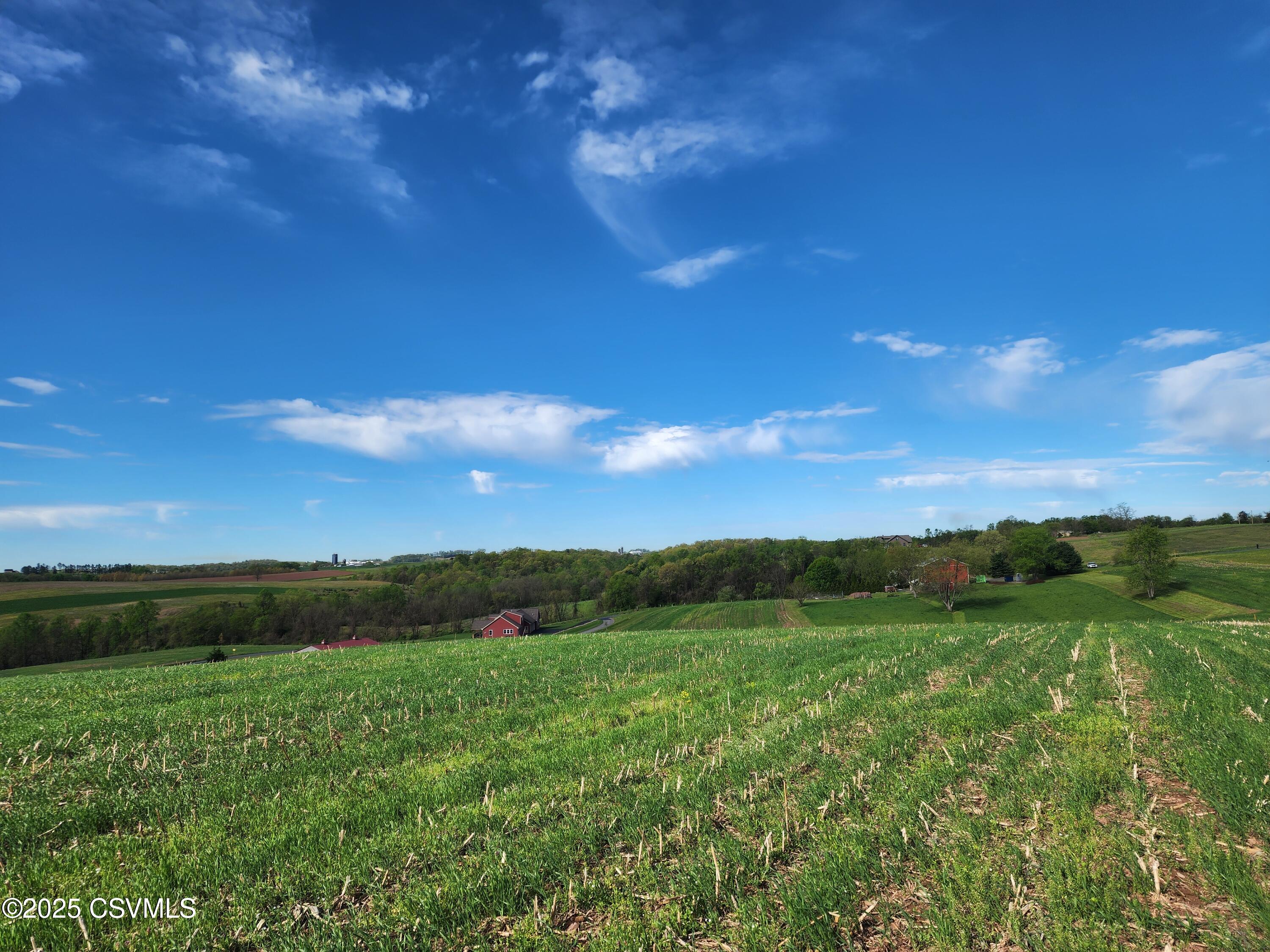 Roosters Rd Port Port Trevorton, PA 17864 - Photo 5 of 23