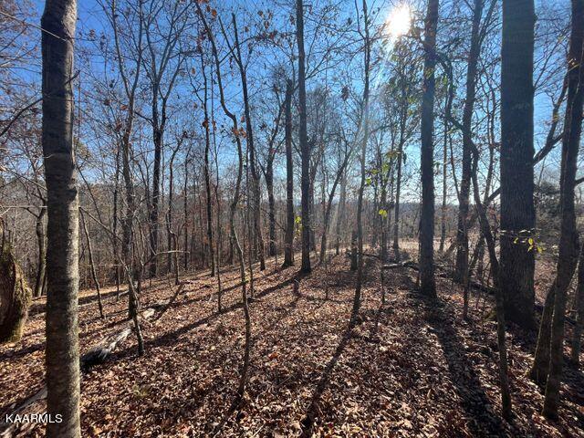 42 Athens Road Delano, TN 37325 - Photo 1 of 19 tract 42 top