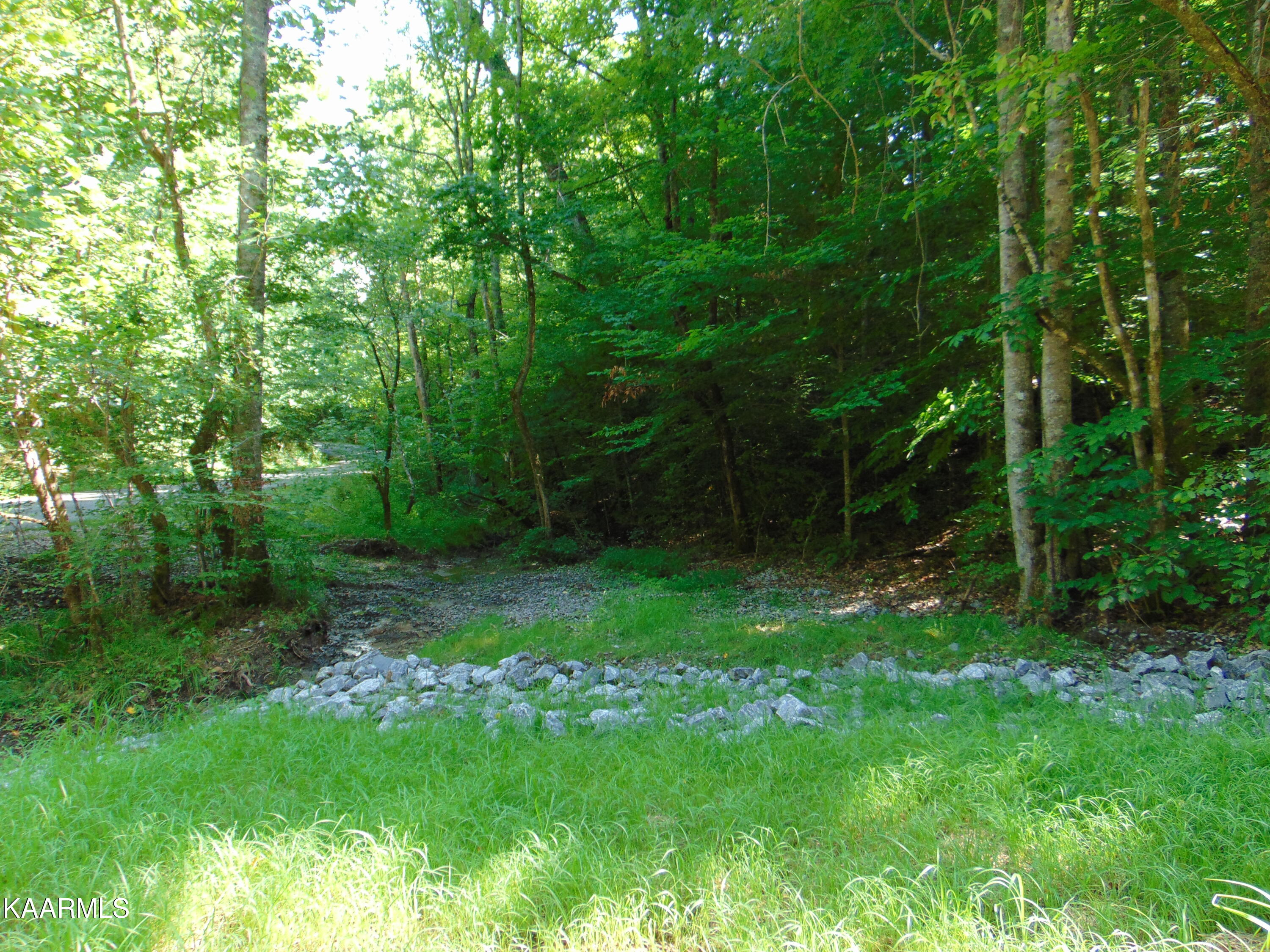 42 Athens Road Delano, TN 37325 - Photo 12 of 19 Tract 42