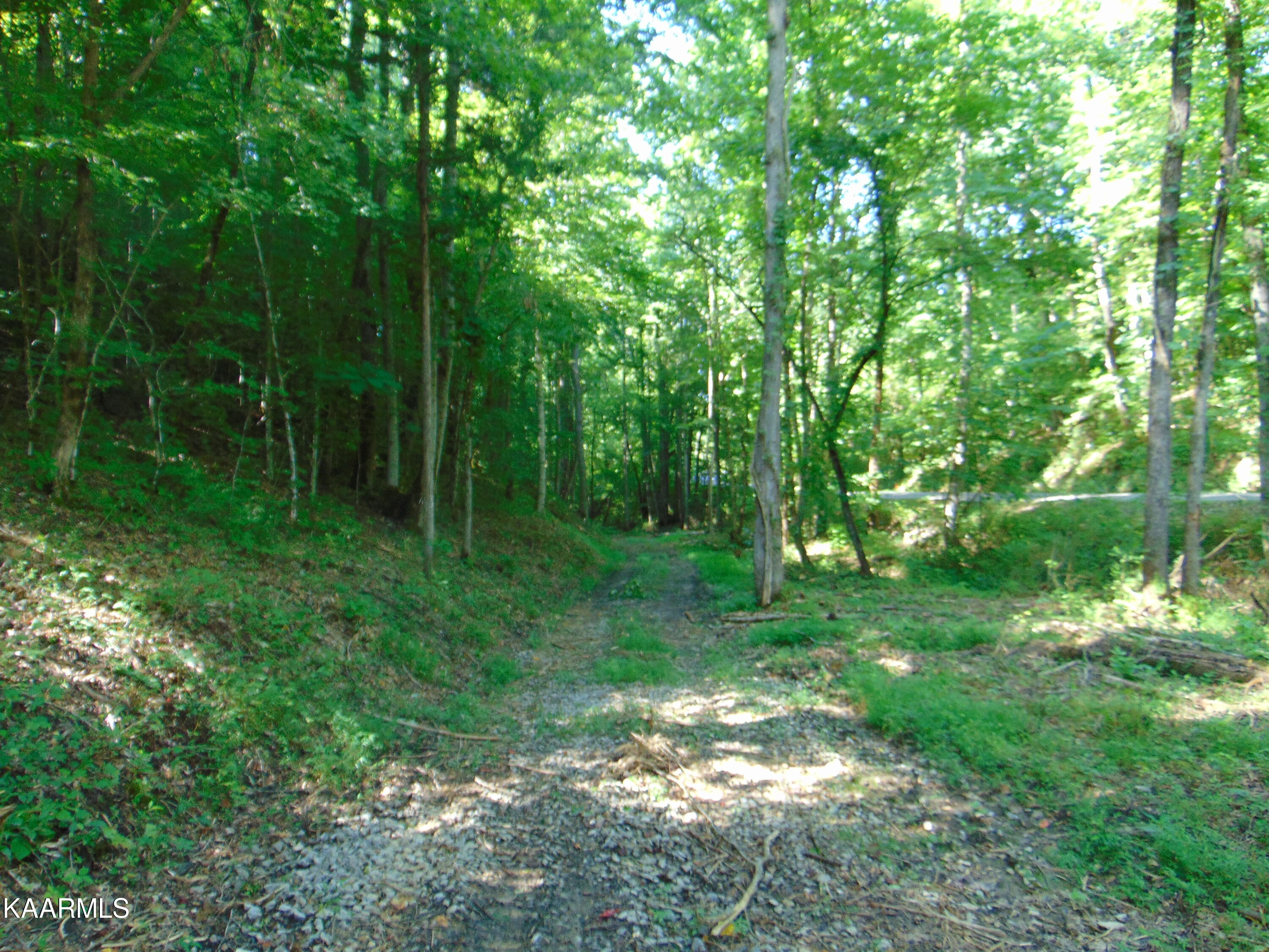 42 Athens Road Delano, TN 37325 - Photo 13 of 19 Tract 42