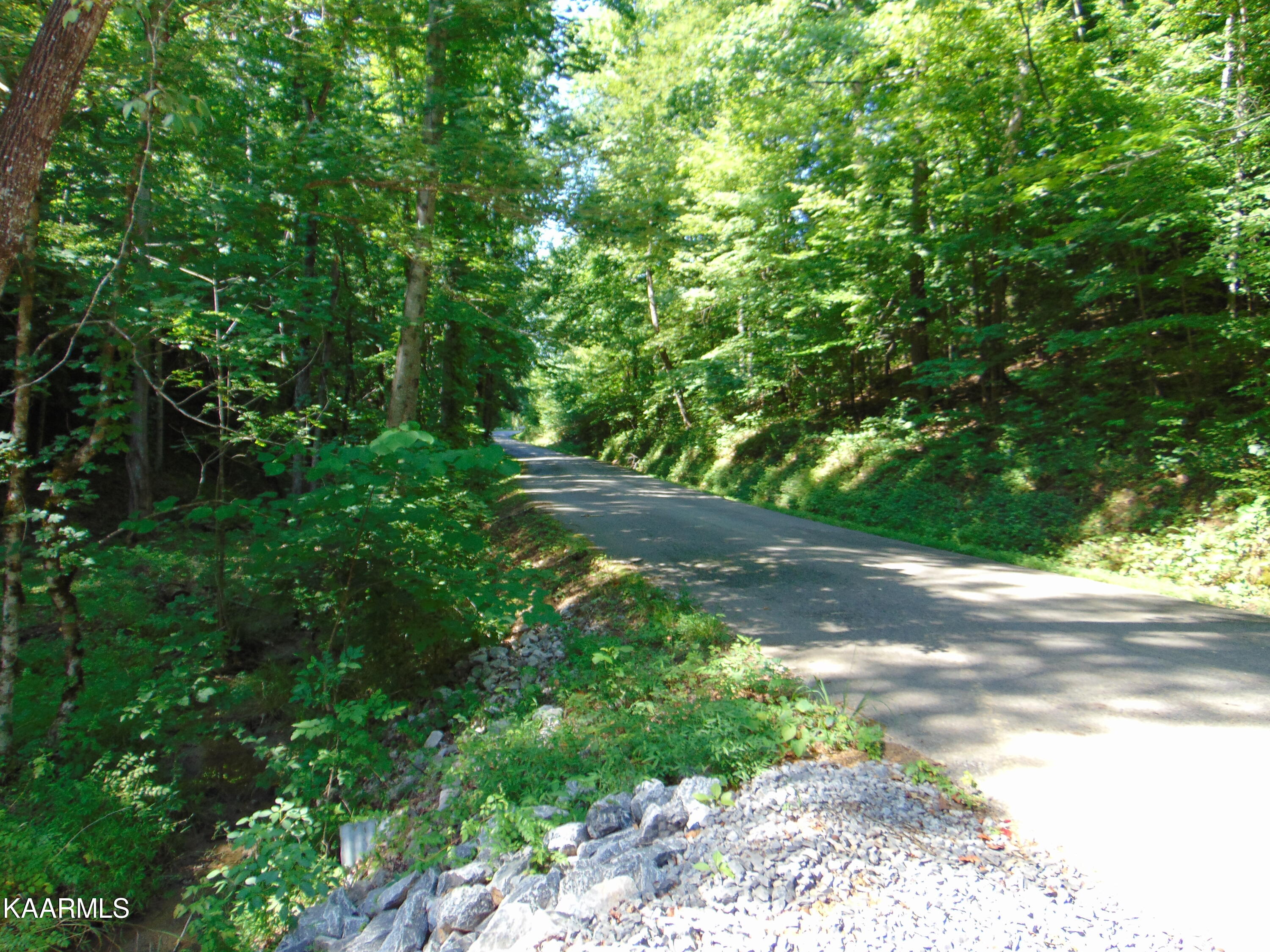 42 Athens Road Delano, TN 37325 - Photo 14 of 19 Tract 42