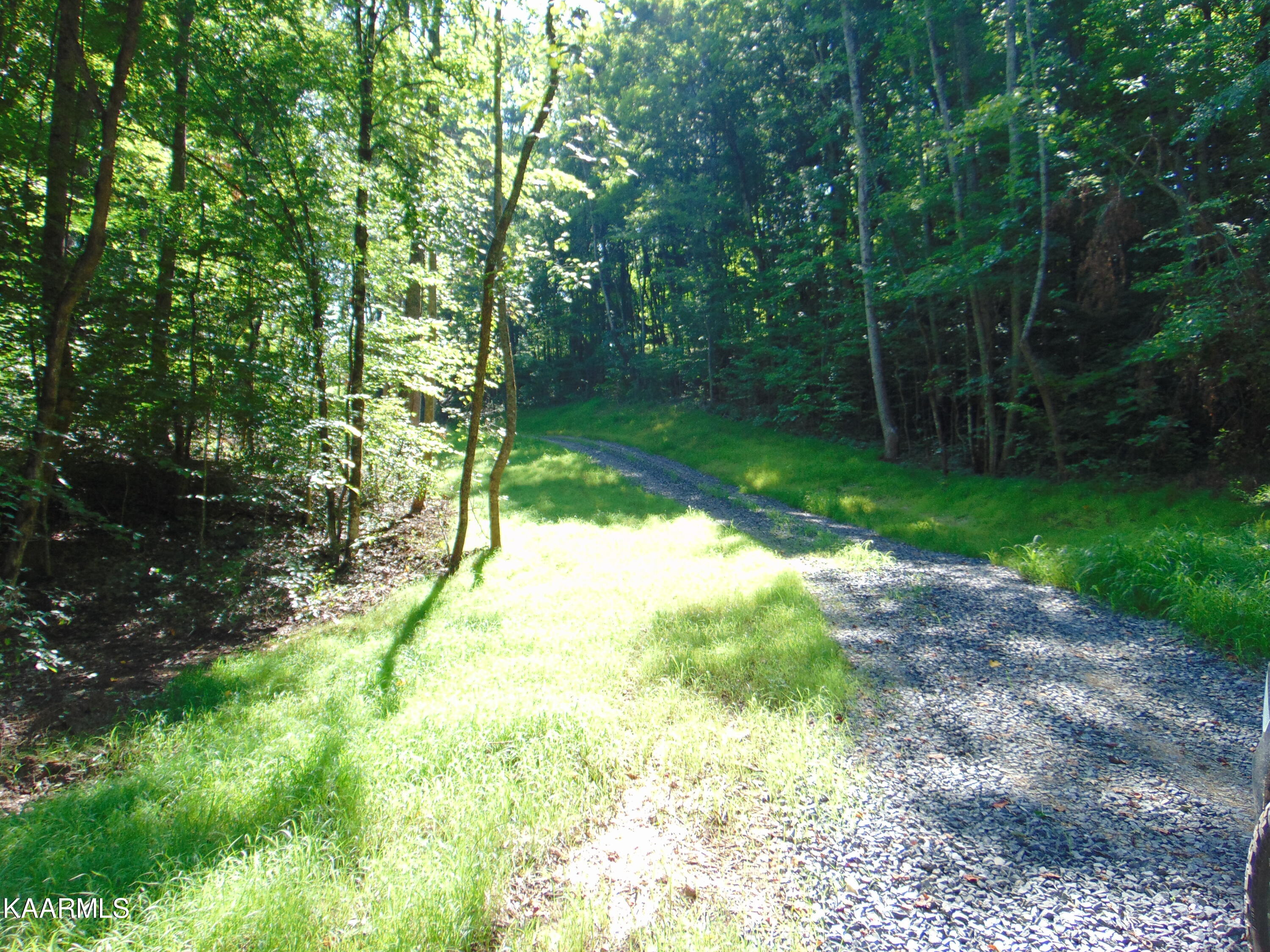 42 Athens Road Delano, TN 37325 - Photo 15 of 19 Tract 42
