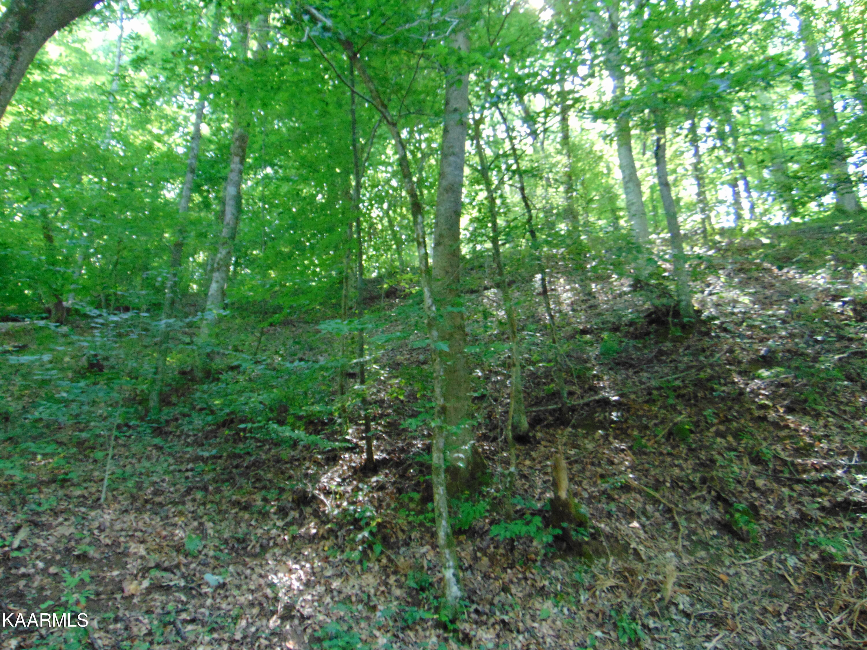 42 Athens Road Delano, TN 37325 - Photo 16 of 19 Tract 42