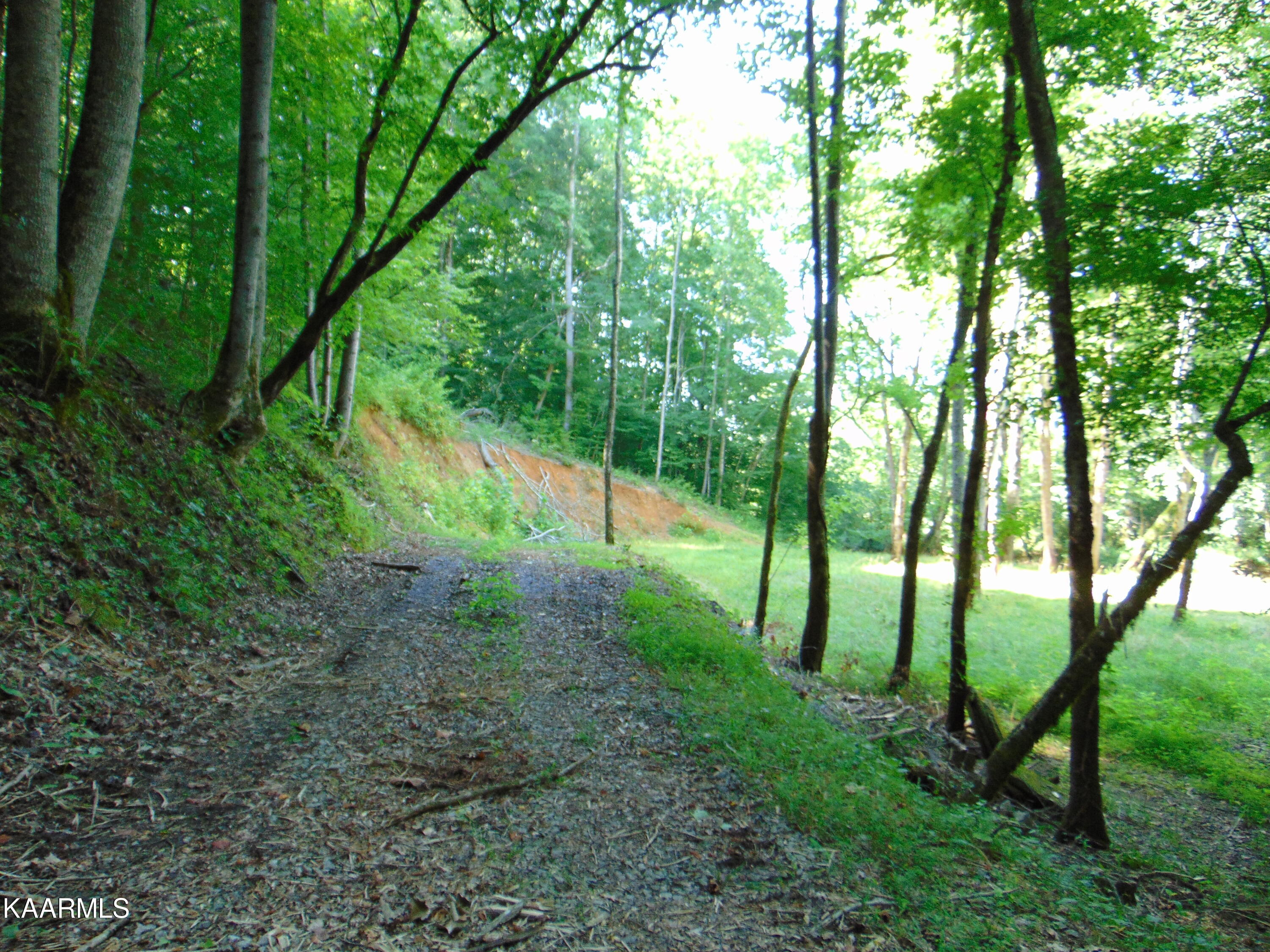 42 Athens Road Delano, TN 37325 - Photo 17 of 19 Tract 42