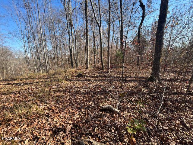 42 Athens Road Delano, TN 37325 - Photo 2 of 19 Tract 42 1