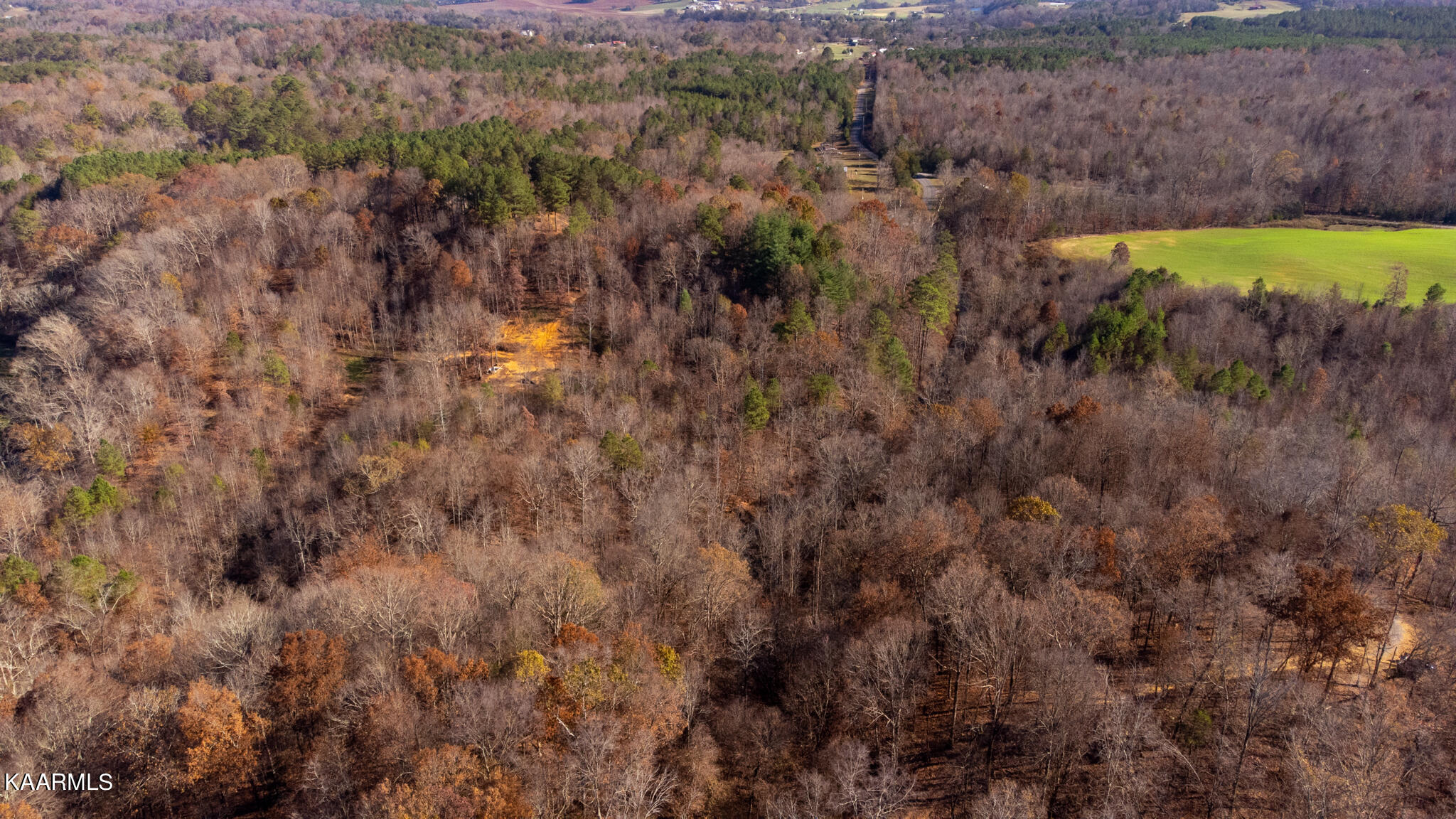 42 Athens Road Delano, TN 37325 - Photo 4 of 19 Chestuee-12