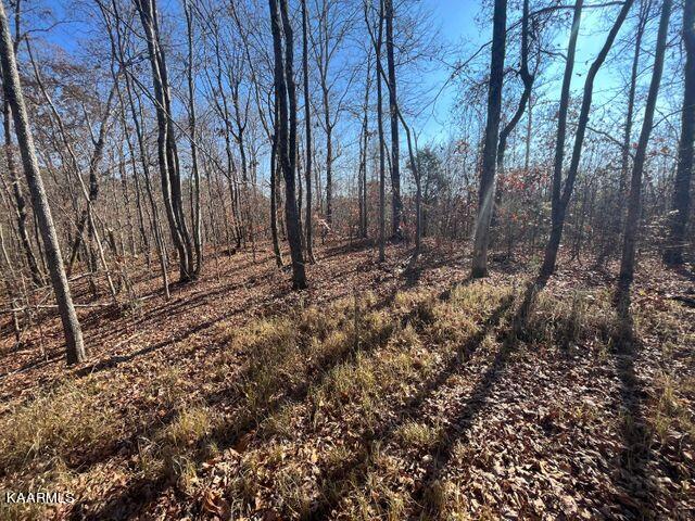 42 Athens Road Delano, TN 37325 - Photo 8 of 19 Tract 42 2