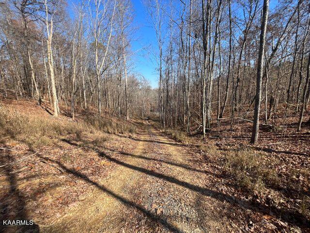 42 Athens Road Delano, TN 37325 - Photo 10 of 19 tract 42 4