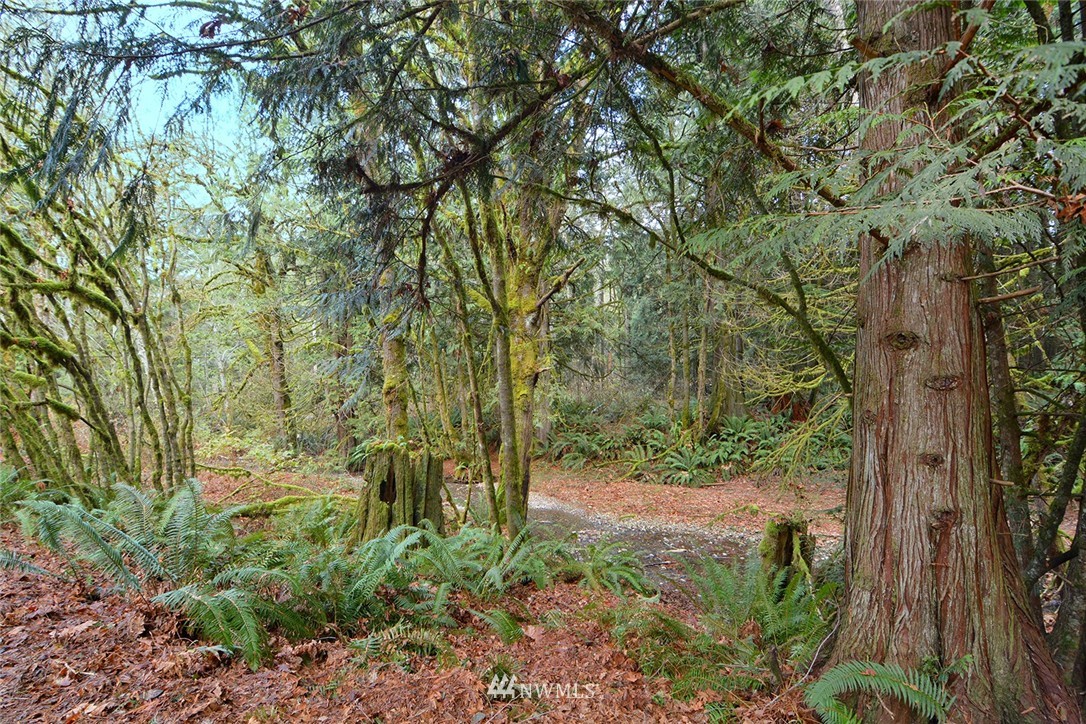 7817 Miami Beach Road Northwest Seabeck, WA 98380 - Photo 25 of 25