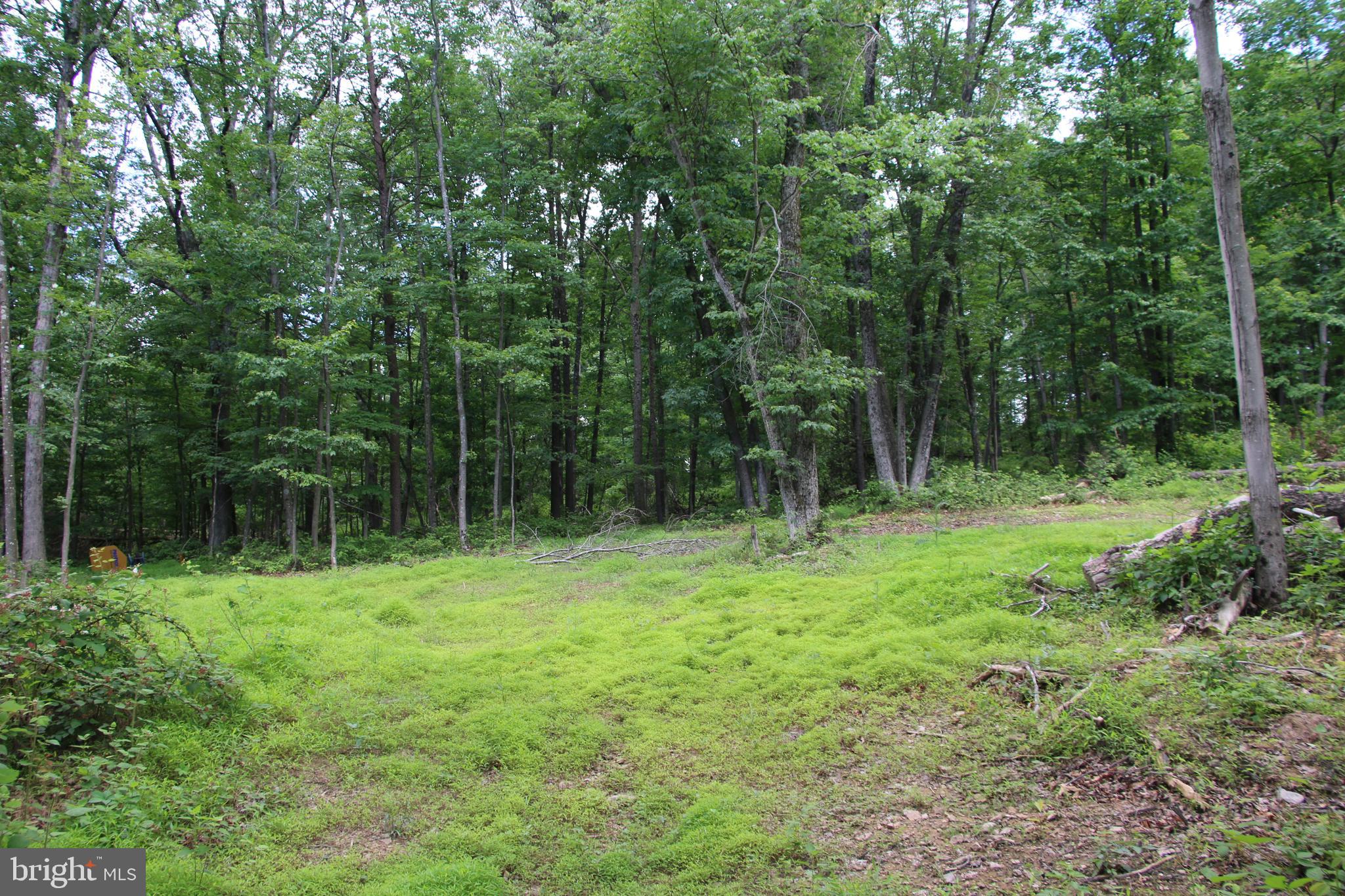 Gough Road Winchester, VA 22602 - Photo 14 of 23 Gallery Image 14