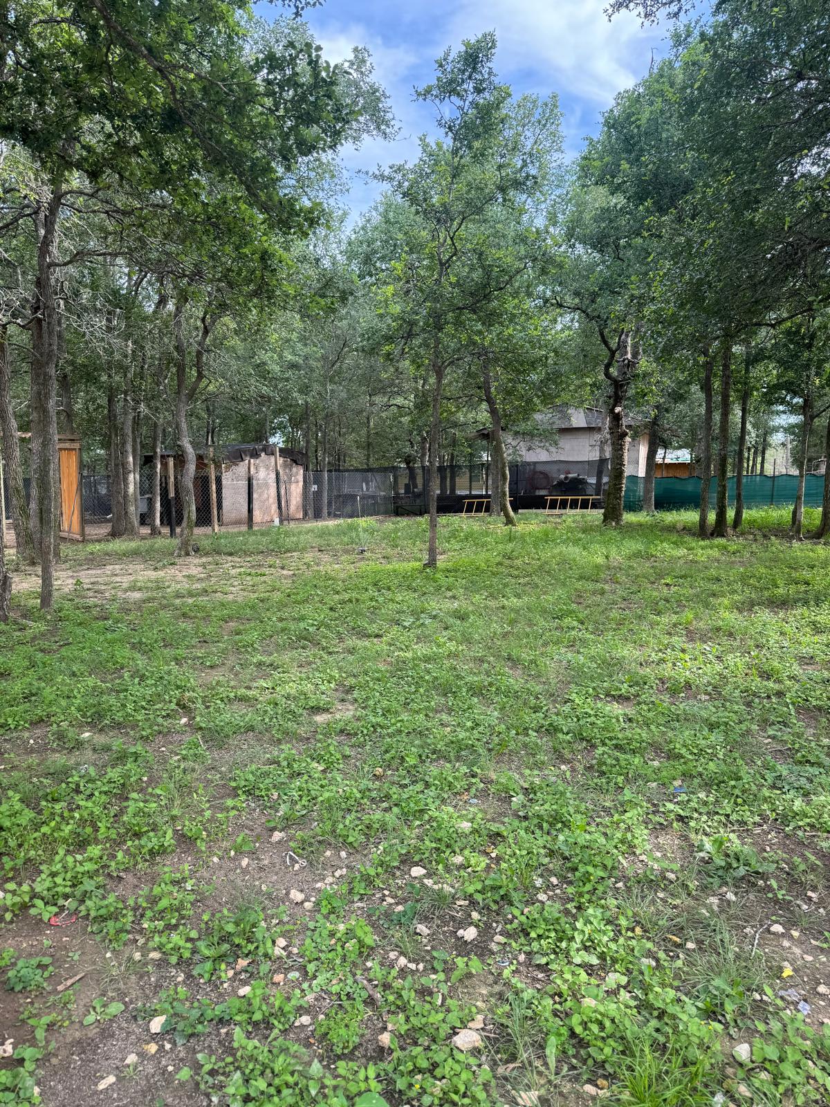 401 Ride Out Boulevard Elgin, TX 78621 - Photo 11 of 11 a house with lots of trees in the background