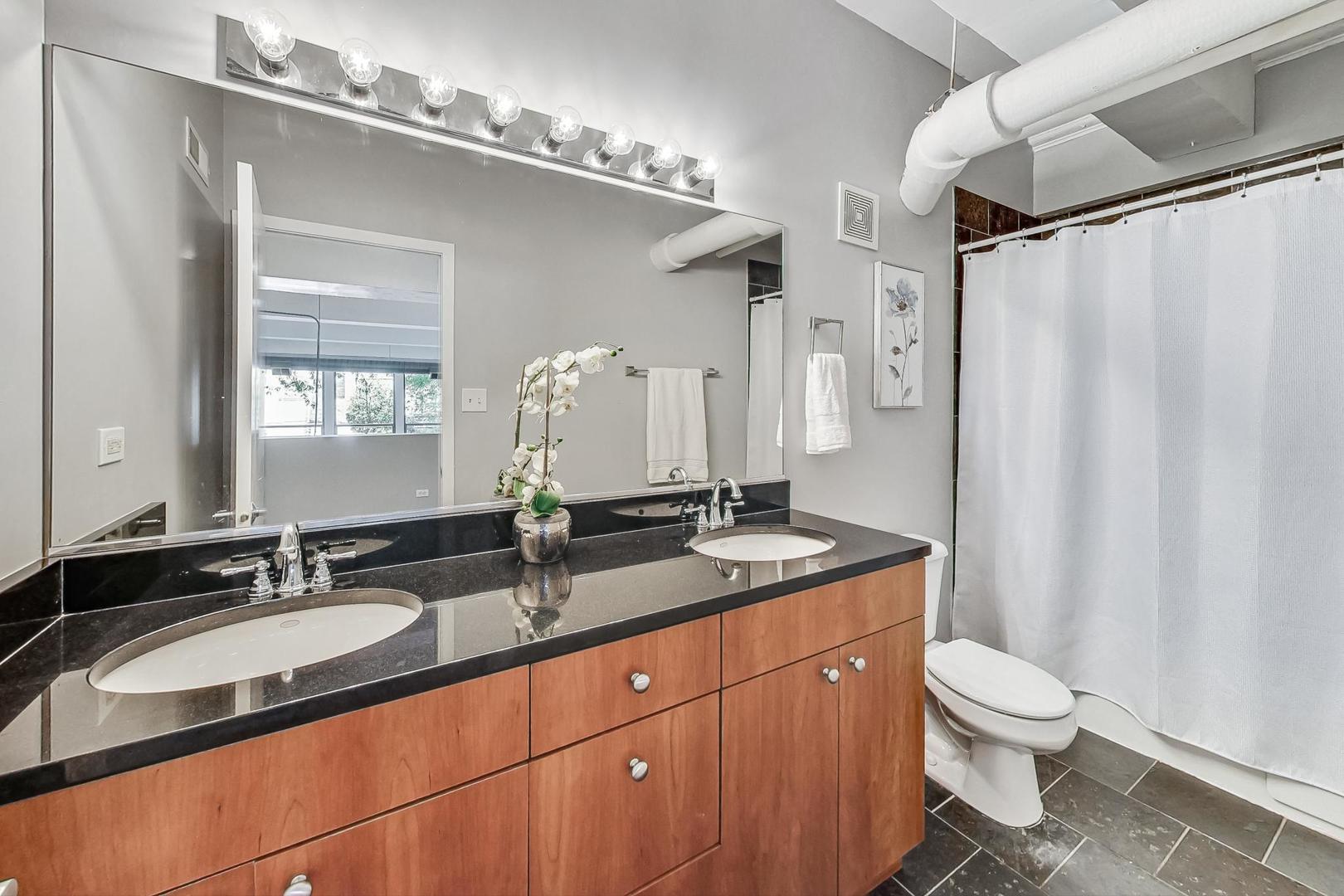2000 South Michigan Avenue, Unit 107 Chicago, IL 60616 - Photo 17 of 30 a bathroom with a granite countertop sink toilet a mirror and shower
