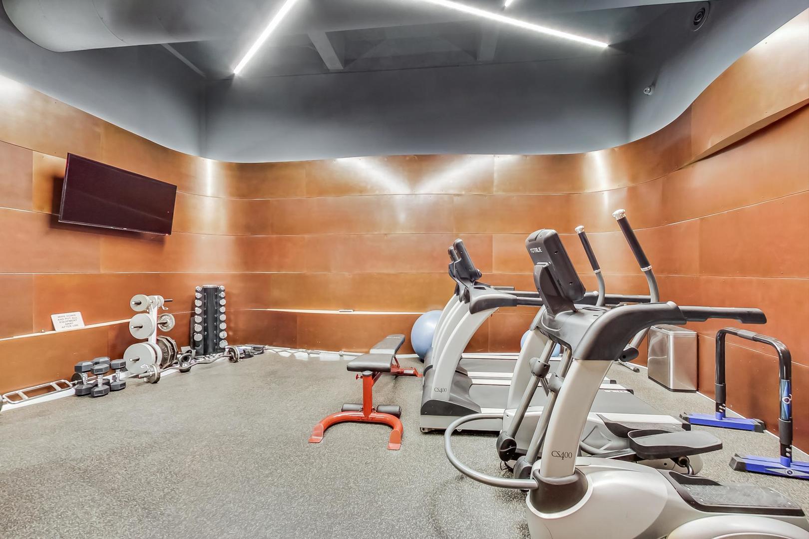 2000 South Michigan Avenue, Unit 107 Chicago, IL 60616 - Photo 26 of 30 a view of a room with gym equipment
