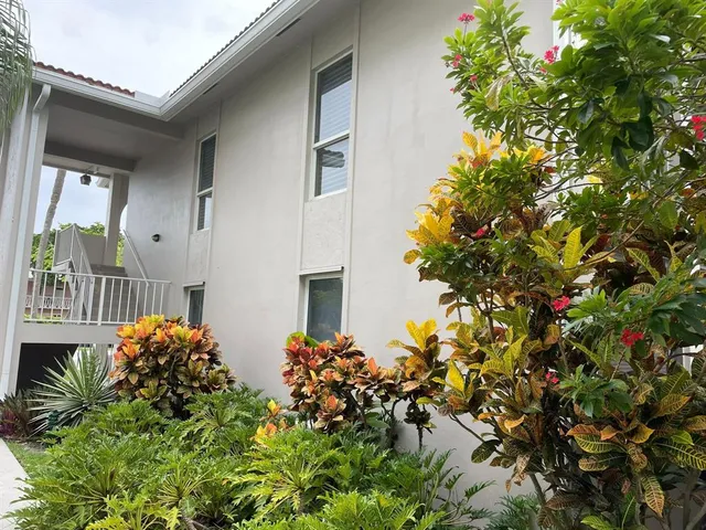 a flower plant in front of a house