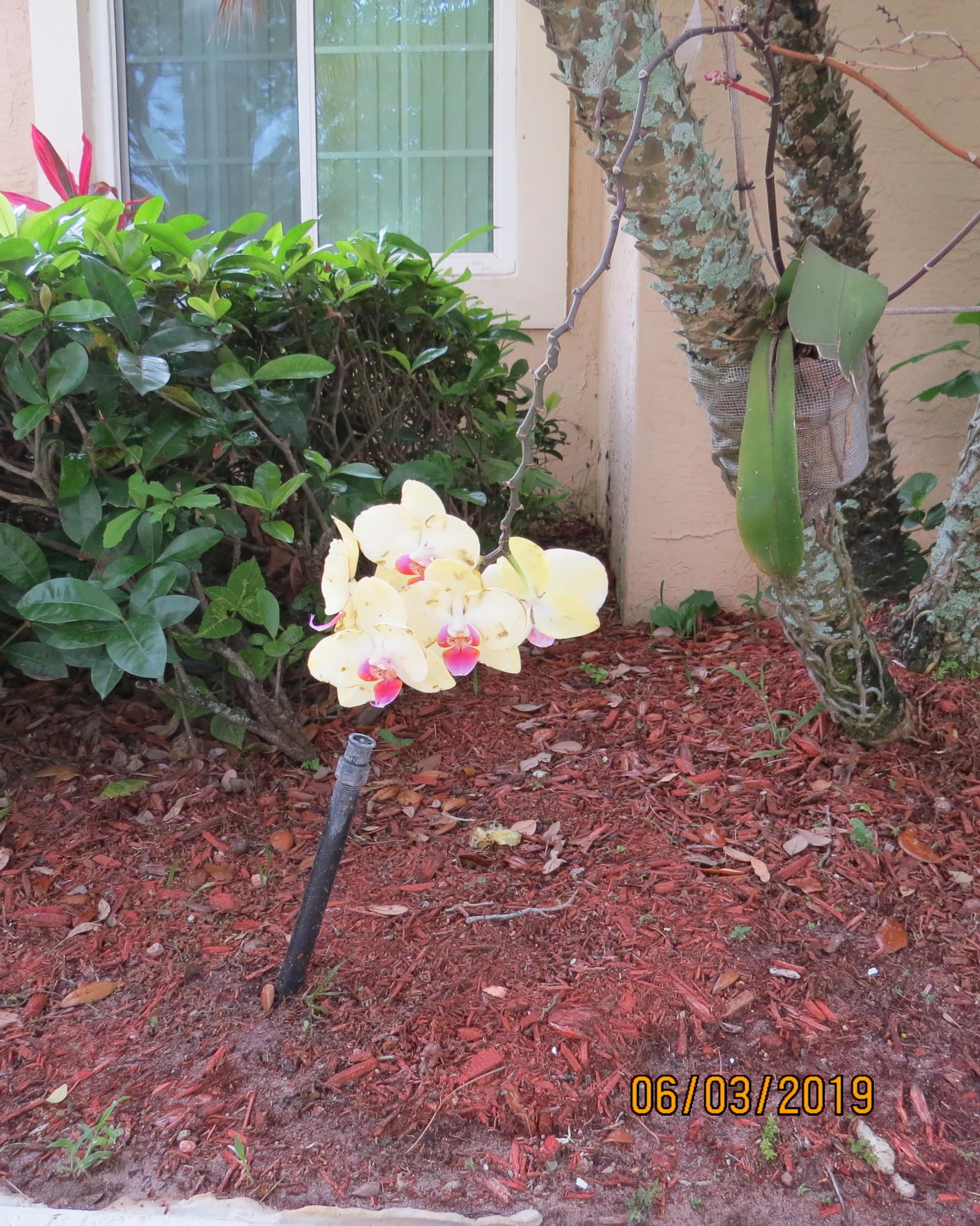 1061 Aspri Way Riviera Beach, FL 33418 - Photo 34 of 36 IMG_0144