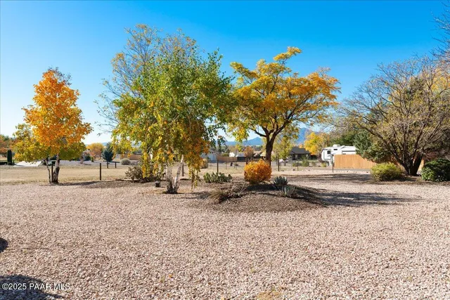 a view of a yard with a tree