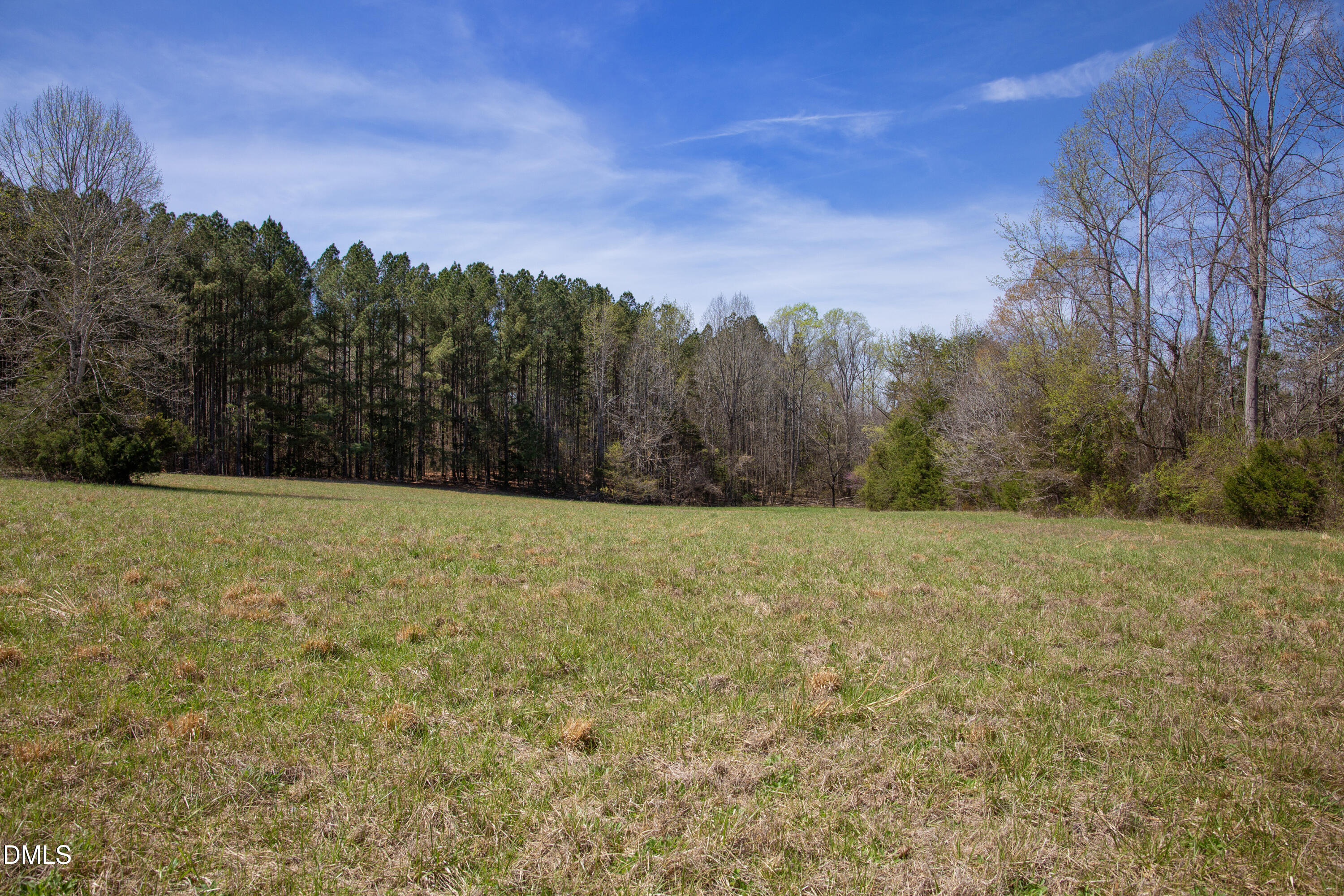 -19 Acs Doll Branch Road Milton, NC 27305 - Photo 4 of 10