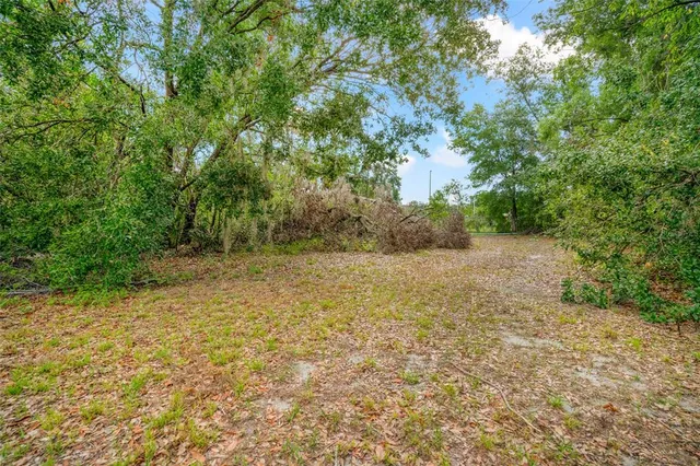 a view of a yard with a tree